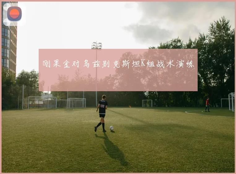 刚果金对乌兹别克斯坦K组战术演练