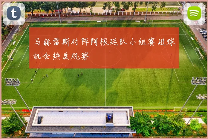 马赫雷斯对阵阿根廷队小组赛进球机会热度观察