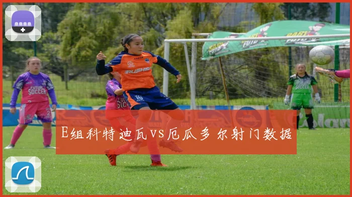E组科特迪瓦vs厄瓜多尔射门数据